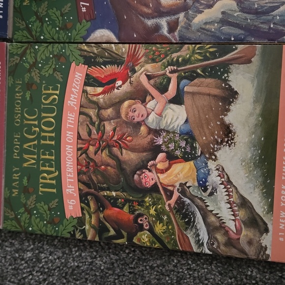 Magic Tree House Book Set - Picture 5 of 7